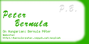 peter bernula business card